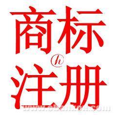 知识产权护航企业品牌发展 商标注册的关键要素与专业服务解析